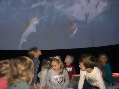 135488685_522481681993271_1225786237287413668_n