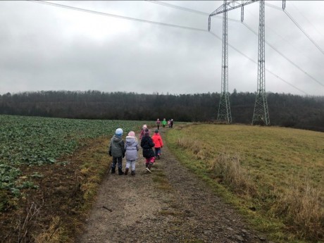 136112764_2873086159626966_4275127790948507318_n