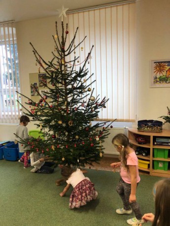 136114145_411555536729800_6220282076617070879_n