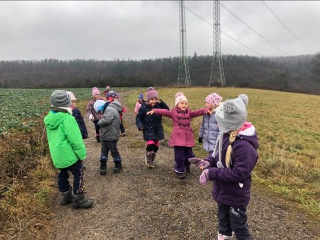 136381281_767725567167150_3386492552312481952_n