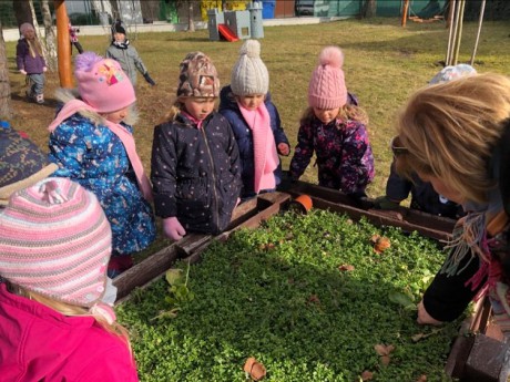 145610816_1285922591808018_6088668897903904141_n