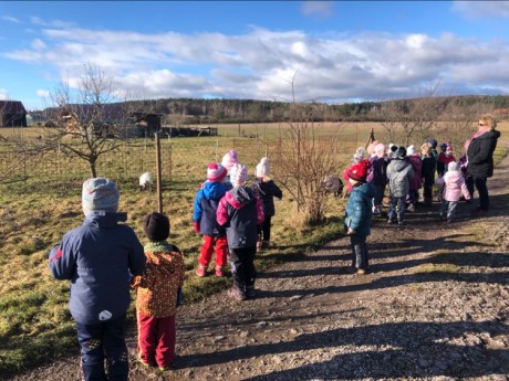 145648662_944747736061678_1184539251346310675_n