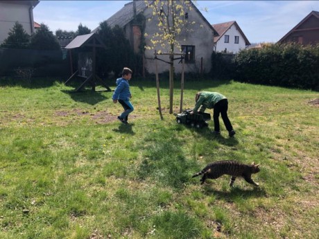 180657019_331029165045433_1471954654831160176_n