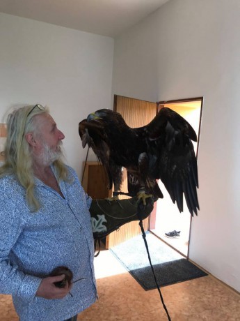 186464235_930888087485450_8737357954904714099_n