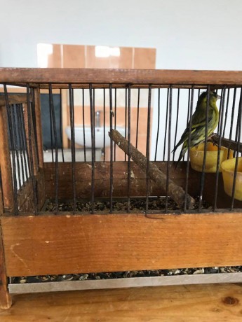 187447279_2841771002740636_3363741148420949588_n