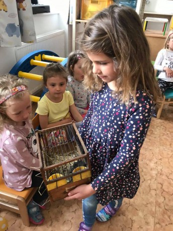 188926777_346591947099172_2982762303939782079_n