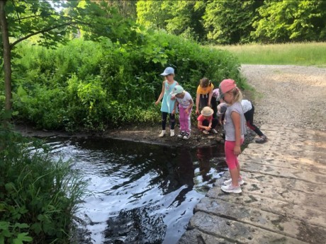 285110702_3411533225745265_2851797997905005081_n