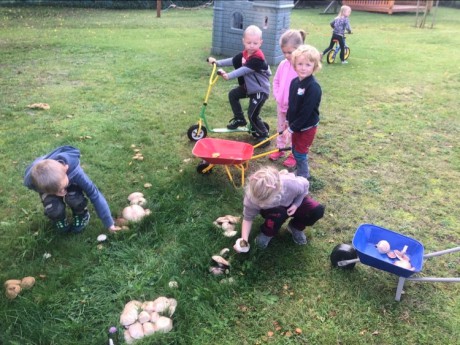 310640933_1269816830280947_2811160319013525802_n