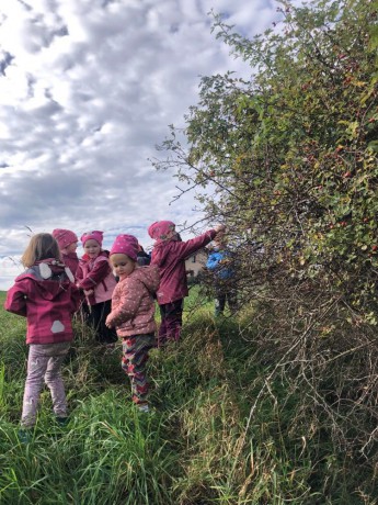 310734533_442851897951668_1096659803443342836_n