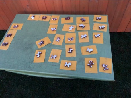 316709785_542144520769030_4516067460228009533_n