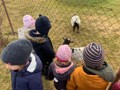 bd1c54ba-6c97-4269-b7c3-e83bbd72402a