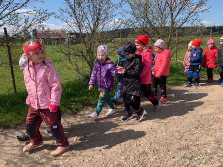 d2b9e04c-62a7-4bef-89d9-13b5af6e15d3