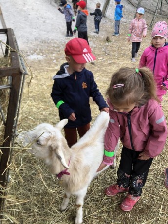 346162552_226453236793623_1541054509612377165_n