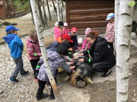 349130606_266505939269278_3844265068034184564_n