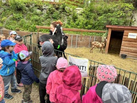 349220240_927085635216300_699386332006351455_n