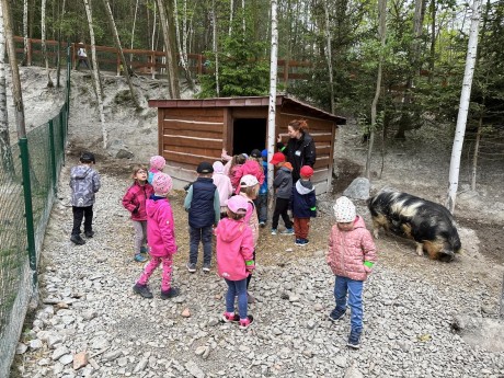 350092141_6305251089565210_5197526273395843122_n