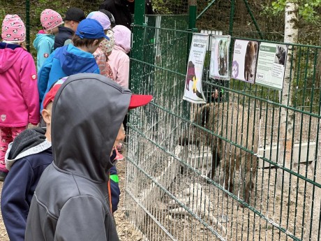 350149701_961647398351487_898444513397928935_n