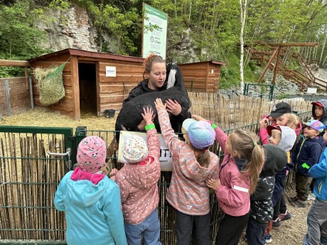 350245757_249568007665991_3360952347452213013_n