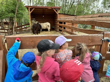 350308641_280092924498813_7473538203428919798_n