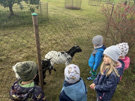 370168225_303749995865476_5259067704084428920_n