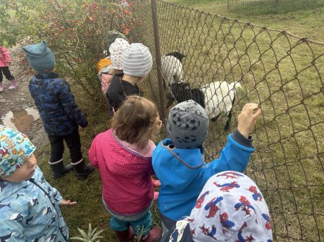 370344986_716013586616342_4873334930180144541_n