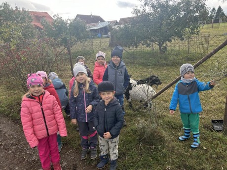 375754676_320516117362901_2310060323834945985_n