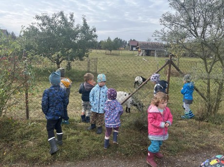 377105195_1362797547926582_4019632834149490388_n