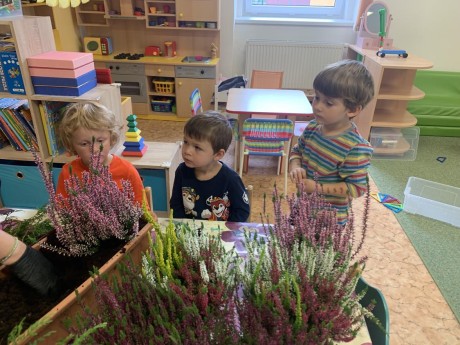 398424854_248977708170111_4815450389585510242_n