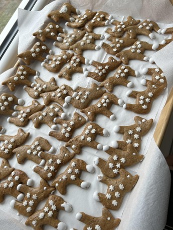 394643597_321601587342516_3981177212692364031_n