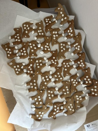 403410624_1374012596873410_3446858324349898306_n