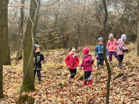 8ae24212-b2d8-462f-a84f-e9a14e41ecc2