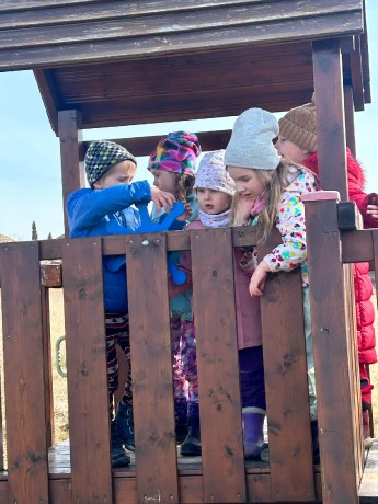 9102cd0d-cbc1-435d-95e3-9bf6923598d1