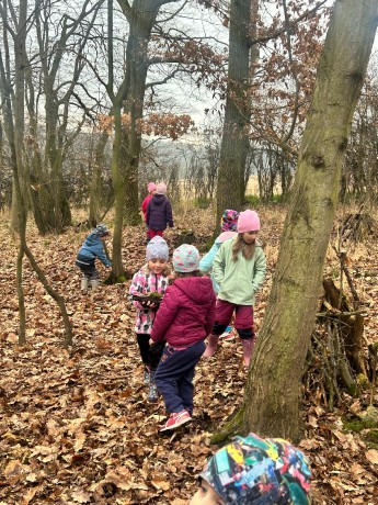 b972d67b-f740-468f-a886-cab440b0b6a1