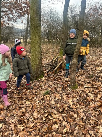 cdc287d3-84f8-41e8-975a-7fd3251c4fd0