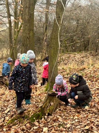 cf9b6797-2e0f-45a1-8016-0192fe609d78