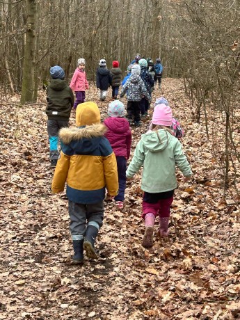 d46a257b-52cd-47a9-aa1a-5742f4337ee7