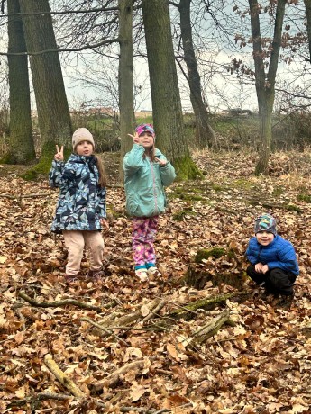 d884621e-0bf1-4c96-9e1c-3fb1064f9198