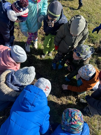 e9ab4e8f-05fc-4b74-a306-26687e20669d