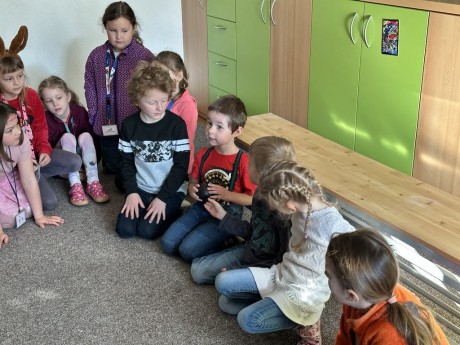 d7796c60-0d55-44e2-8c7c-be074d534eaf