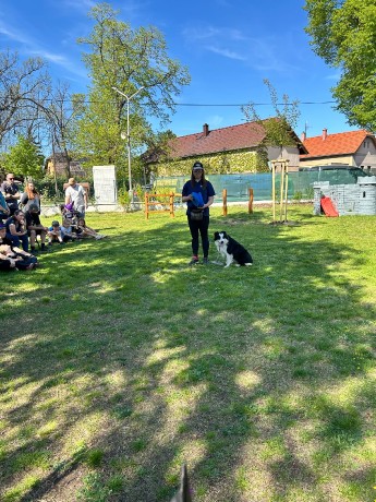 07c58213-6140-4efa-98b0-06b1fb6eff76