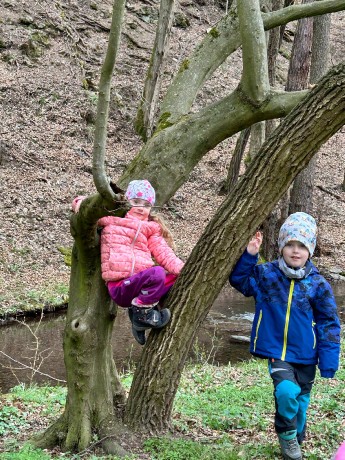 3ed1c87d-6ce6-461d-92a5-d60febb32f50 - kopie