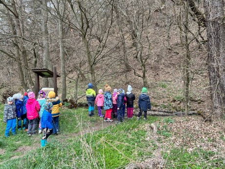 991da59a-8731-4e16-a764-2ae07739315c