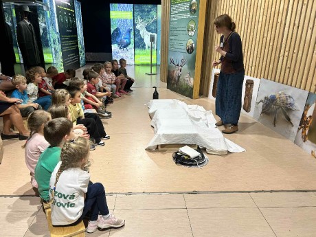 a9f60c3e-00ec-4d18-9ade-95b34522c069