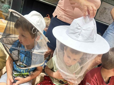 e63d29ad-17ab-448b-83ea-a8b84920bb75