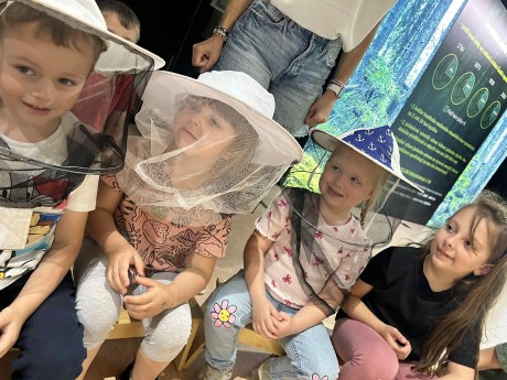 5a07876a-5a87-4681-bed5-ef1d49f3971c