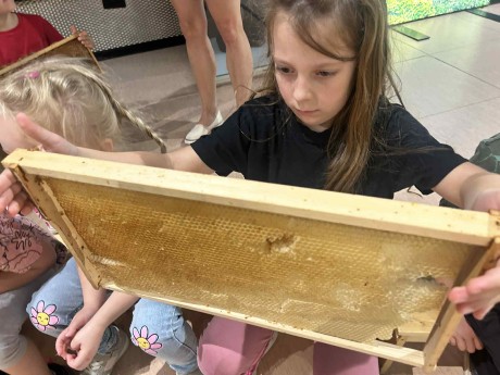 7c0f1428-16de-484a-bcd8-bc15f2bb39a5