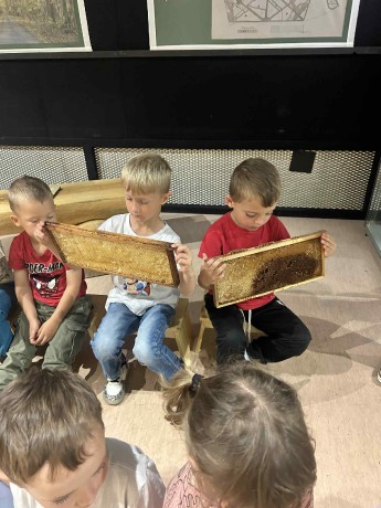 d6efe6bf-7bc2-40c7-b7dc-cb28b939e72b