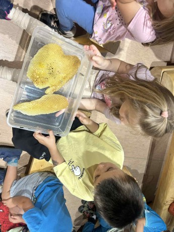 cb082f32-9b84-498e-8186-ead84d946668