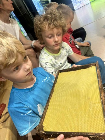 87b002ef-8685-4d6d-8aa5-28718ba94ebf