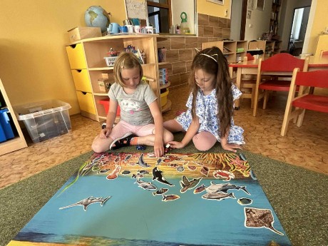 d08c2873-e8d9-4b00-ad03-ea17a1e1307f